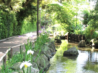 一之江境川親水公園