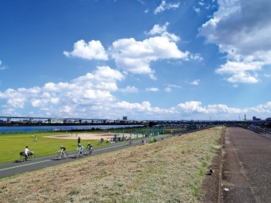 江戸川河川敷