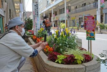 花壇コンクール