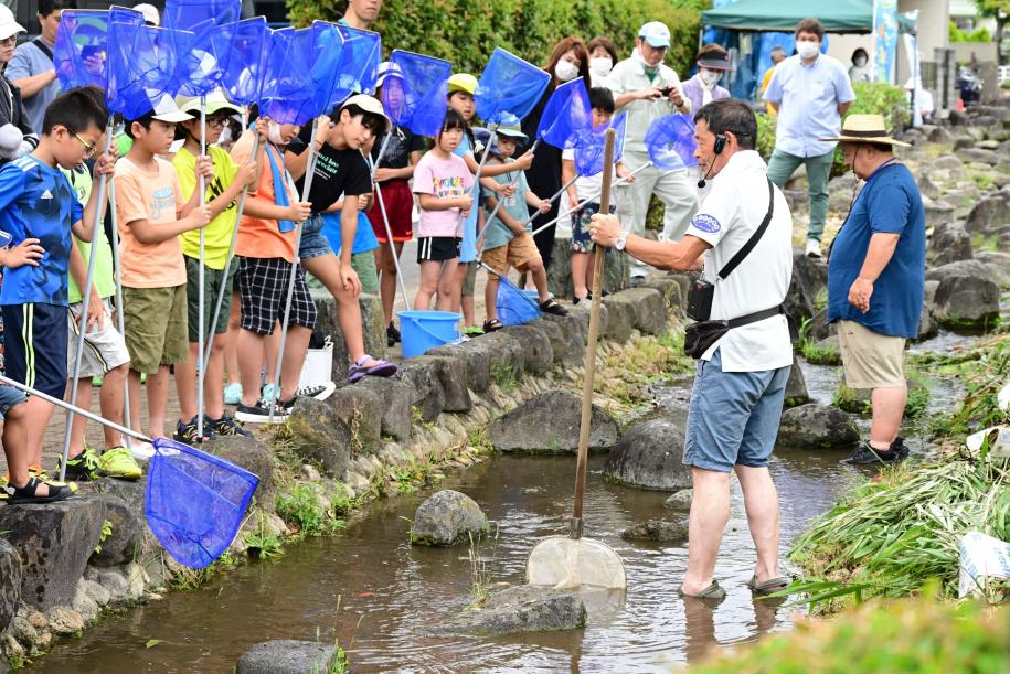 川の生き物説明