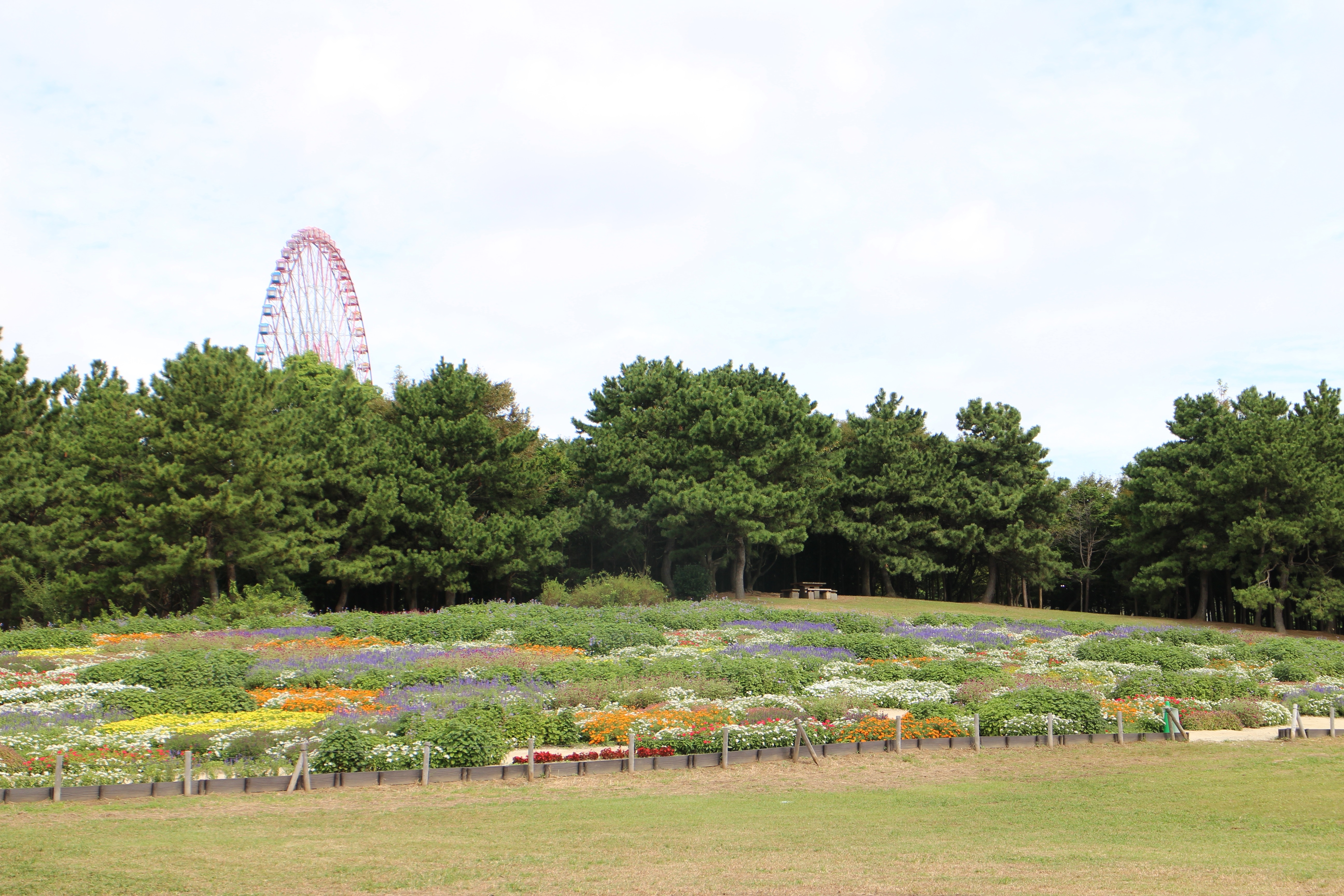 葛西臨海公園