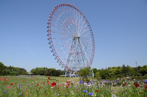 ダイヤと花の観覧車