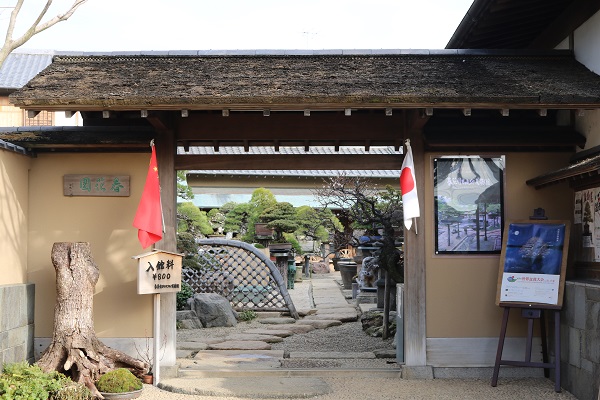 春花園BONSAI美術館