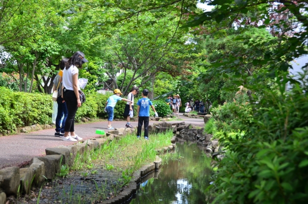 葛西親水四季の道