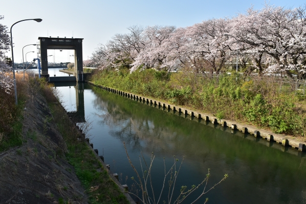 江戸川水閘門