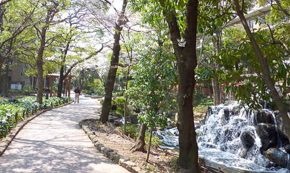 写真　小松川境川親水公園