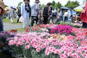 花の祭典