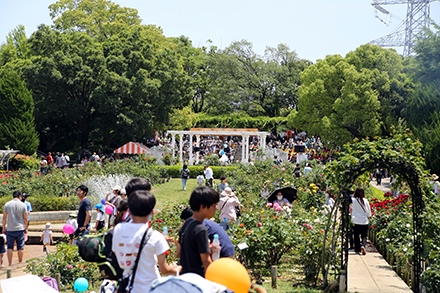 南江戸川ふるさとまつり　その1
