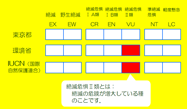 世界と日本では絶滅危惧の危険が増大しています。