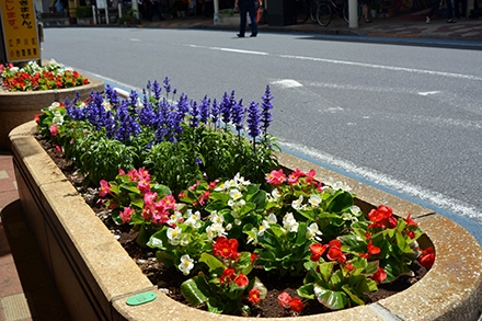 第49回花壇コンクール・フラワーまつり　その4
