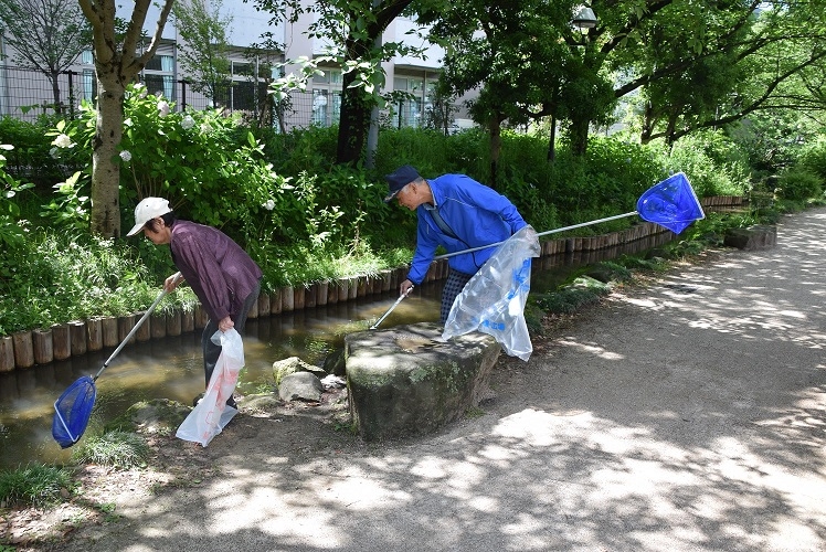 篠田堀親水緑道を愛する会の活動の様子