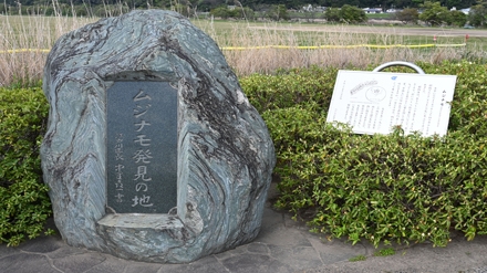 ムジナモ発見の碑