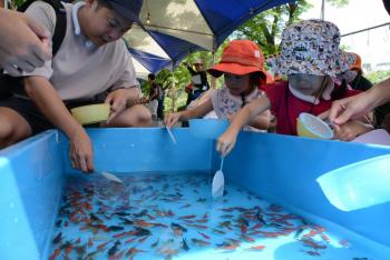 金魚まつり