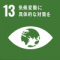 SDGsGoal13