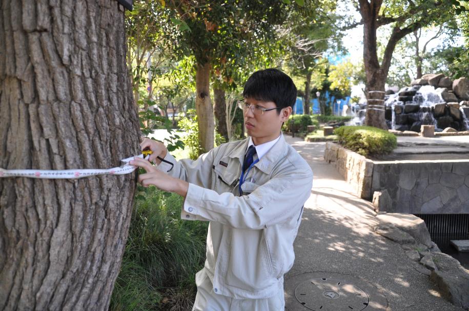 職員が公園の木を測定している様子