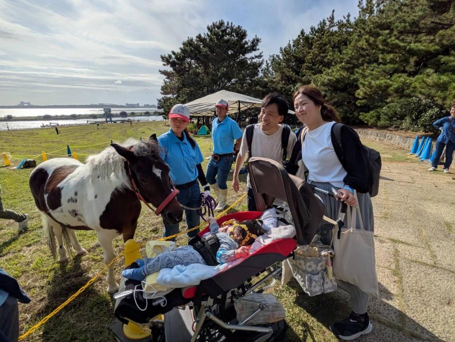 ふれあいポニーコーナーの様子