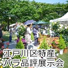 江戸川区特産バラ品評展示会