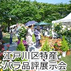 江戸川区特産バラ品評展示会