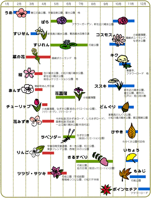 画像　花の開花予定カレンダー