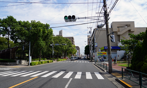 2016年9月6日撮影