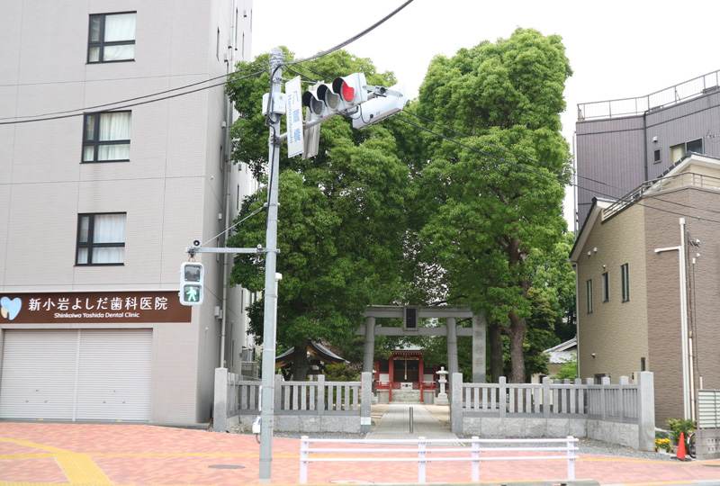 20250528_区役所周辺10