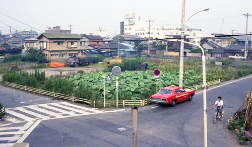 1976年8月12日撮影