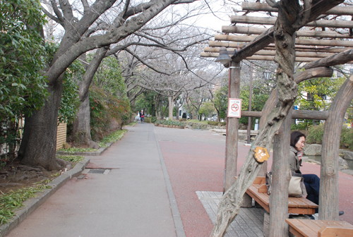 2013年2月5日撮影