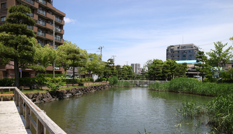 20250528_左近川親水緑道