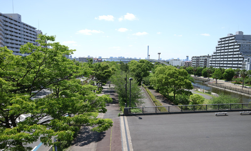 20250528_新左近川親水公園3