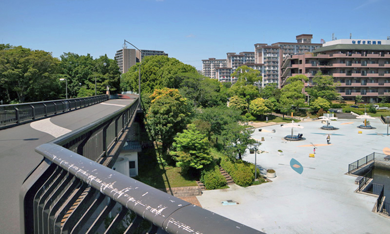 20250528_新左近川親水公園4