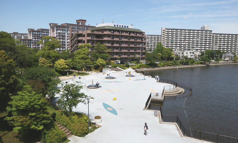 20250528_新左近川親水公園5