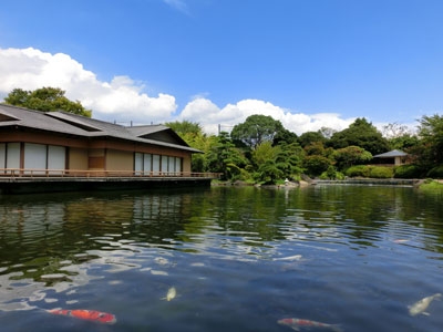 2012年（平成24）8月20日撮影　夏