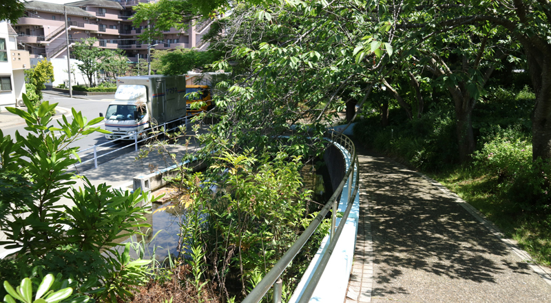 20250528_新長島川親水公園