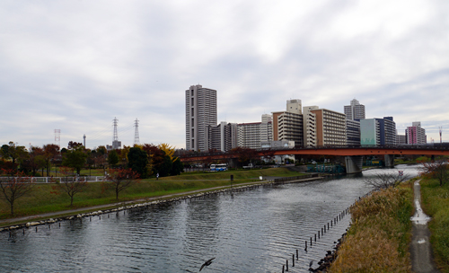 2016年11月28日撮影