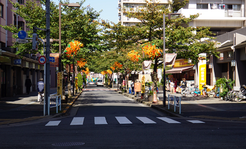 2016年10月26日撮影