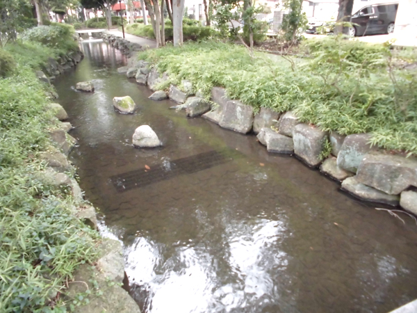 写真　小松川境川親水公園