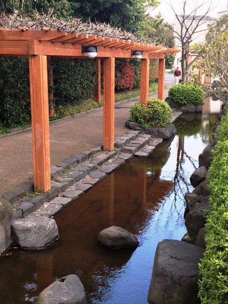 写真　一之江境川親水公園