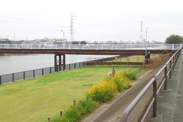 写真：新中川　松本橋　人道橋