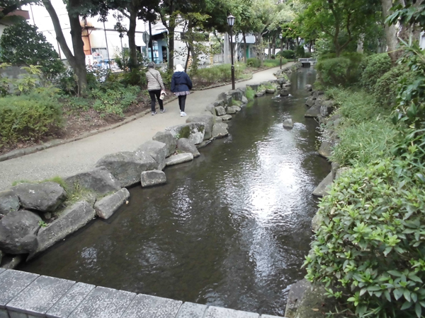 写真　小松川境川親水公園