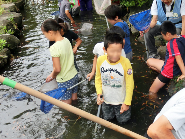 写真　一之江境川親水公園