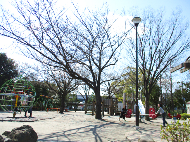写真　松本ふじの花公園