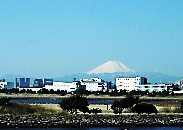 写真　葛西臨海公園から見える富士山