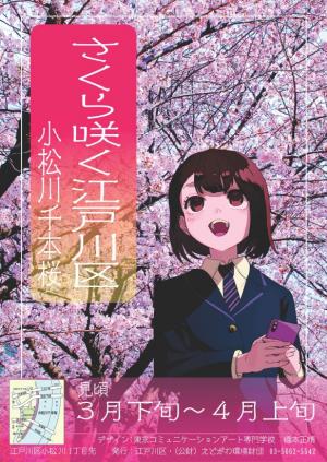 サクラ
