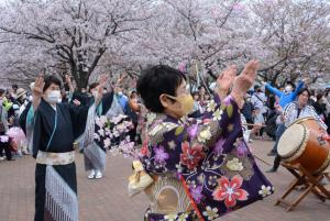 小松川千本桜音頭を踊る人々