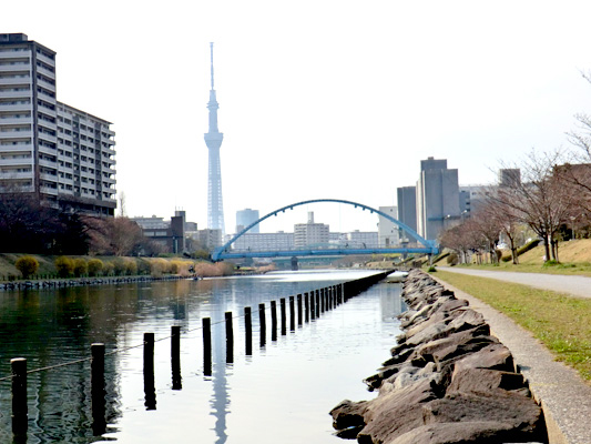 写真　ふれあい橋とスカイツリー