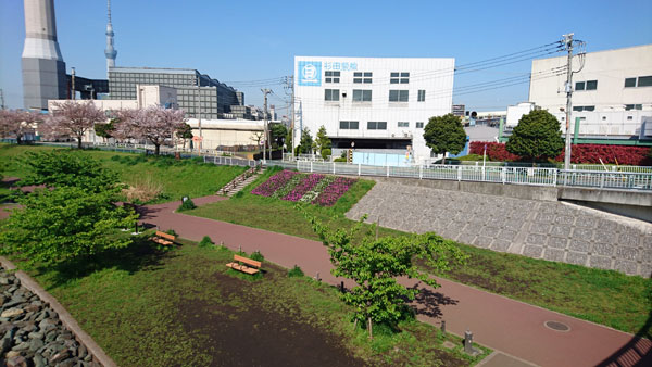 写真　川沿いのお花畑