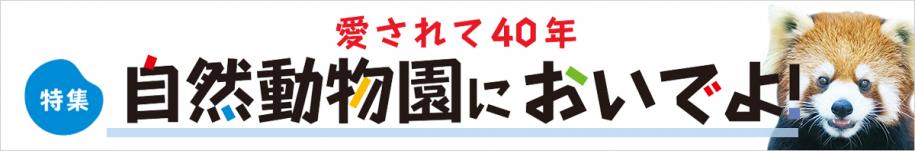 特集　愛されて40年 自然動物園においでよ！