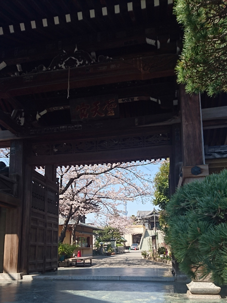 写真　燈明寺の門