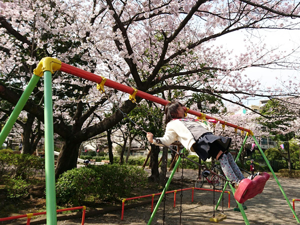 写真　平井さくら公園