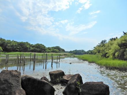 葛西臨海公園鳥類縁